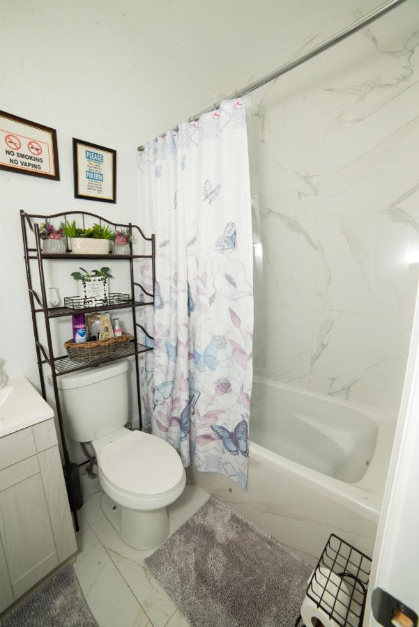 Top Floor With Skylight Brooklyn 纽约 外观 照片